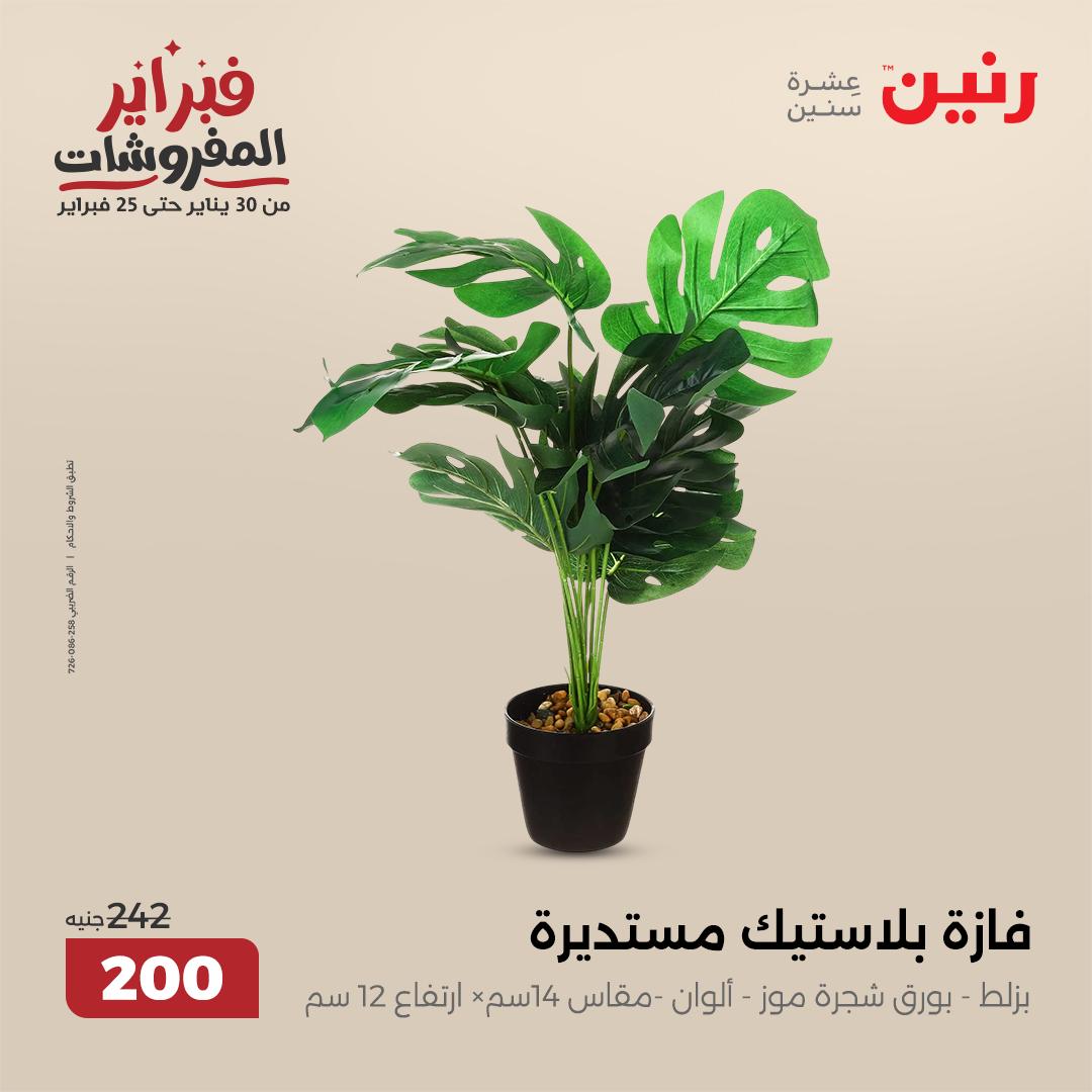 raneen offers from 6feb to 8feb 2025 عروض رنين من 6 فبراير حتى 8 فبراير 2025 صفحة رقم 26